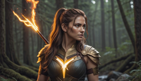 1girl,solo,long hair,breasts,brown hair,brown eyes,medium breasts,closed mouth,upper body,ponytail,weapon,braid,outdoors,armor,blurry,tree,lips,looking to the side,blurry background,looking away,fire,polearm,shoulder armor,nature,armlet,forest,pauldrons,spear,breastplate,realistic,nose,hair pulled back,scar,bow (weapon),arrow (projectile),shoulder pads,torch