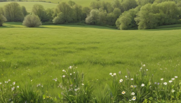 A delightful capture of a landscape within day