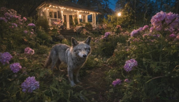 The timeless beauty of a unique subject in a bold outdoors