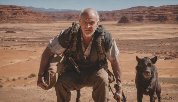 solo,1boy,holding,sitting,weapon,white hair,short sleeves,male focus,outdoors,sky,day,sword,gun,facial hair,animal,scar,sheath,beard,dog,sheathed,realistic,sand,old,old man,desert,shirt,closed mouth,closed eyes,grey hair,belt,pants,holding weapon,blue sky,feet out of frame,facing viewer,rifle,scar on face,mountain,holster,bald,brown pants,mountainous horizon