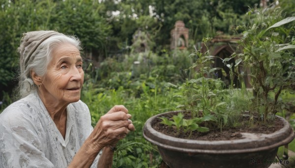 1girl,solo,smile,blue eyes,shirt,white shirt,upper body,white hair,grey hair,hairband,outdoors,blurry,tree,own hands together,plant,realistic,potted plant,old,old man,old woman,garden,wrinkled skin,flower,hair bun,blurry background,single hair bun,photo background