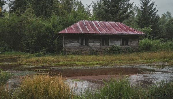 outdoors,sky,day,cloud,water,tree,no humans,grass,plant,building,nature,scenery,forest,reflection,road,bush,house,river,puddle,cloudy sky,lake