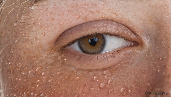 1girl,solo,looking at viewer,1boy,brown eyes,yellow eyes,water,wet,eyelashes,animal,cat,close-up,1other,reflection,water drop,realistic,black cat,eye focus,male focus