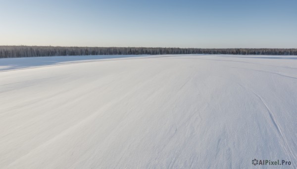 outdoors,sky,day,tree,blue sky,no humans,nature,scenery,snow,forest,mountain,road,winter,bare tree,landscape,ocean,beach,sand,horizon