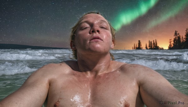 solo,blonde hair,1boy,nipples,collarbone,closed eyes,upper body,male focus,nude,outdoors,parted lips,sky,water,tree,lips,wet,night,beach,pectorals,star (sky),nature,night sky,facing viewer,snow,forest,starry sky,freckles,topless male,realistic,palm tree,aurora,short hair,closed mouth,muscular,muscular male,injury,dirty,chest hair,milky way