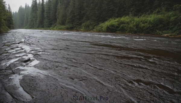 outdoors,day,tree,no humans,traditional media,nature,scenery,forest,rock,road,river,landscape,sky,water,grass