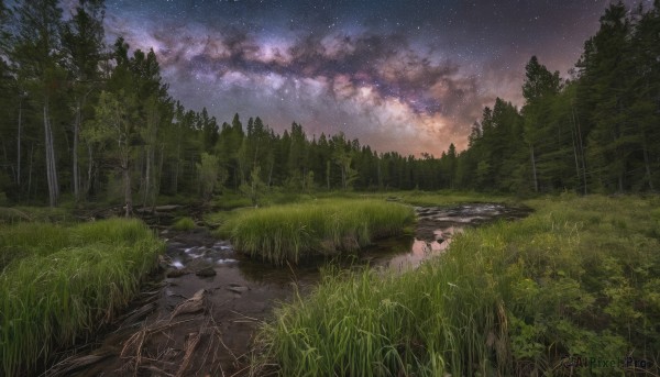 outdoors,sky,cloud,water,tree,no humans,night,cloudy sky,grass,star (sky),nature,night sky,scenery,forest,starry sky,reflection,sunset,rock,road,river,landscape,signature,path