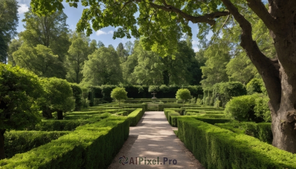 outdoors,sky,day,cloud,tree,blue sky,dutch angle,no humans,sunlight,grass,plant,nature,scenery,forest,road,bush,landscape,path,cloudy sky