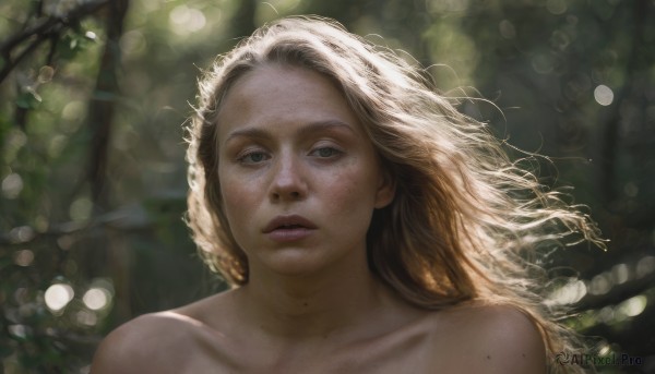 1girl,solo,long hair,looking at viewer,blue eyes,blonde hair,bare shoulders,closed mouth,collarbone,nude,outdoors,parted lips,mole,blurry,lips,depth of field,blurry background,sunlight,messy hair,portrait,nature,freckles,realistic,nose,bokeh,body freckles,mole on cheek,green eyes,upper body,teeth,day,eyelashes,floating hair,wind,forest,dappled sunlight,mole on neck