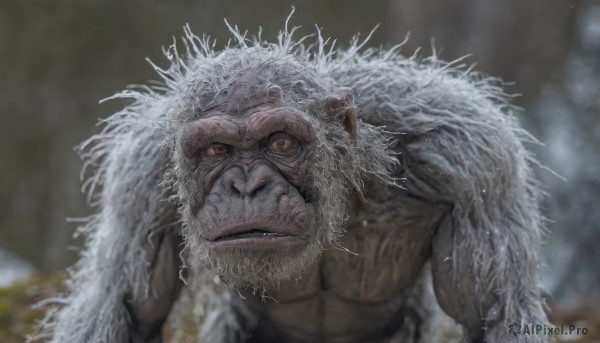 solo,looking at viewer,1boy,brown eyes,male focus,parted lips,teeth,blurry,blurry background,facial hair,fangs,portrait,beard,monster,realistic,tusks,yellow eyes,orange eyes,scar,close-up