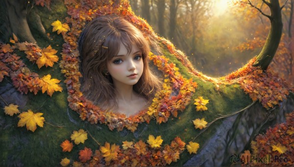 HQ,1girl,solo,long hair,looking at viewer,bangs,blue eyes,brown hair,jewelry,earrings,outdoors,parted lips,tree,lips,leaf,sunlight,nature,forest,realistic,autumn leaves,maple leaf,autumn,hair ornament,closed mouth,upper body,flower,day,hairclip,water,from above,grass,scenery,dragon,branch