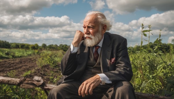 solo,shirt,long sleeves,1boy,sitting,closed mouth,jacket,closed eyes,white shirt,flower,white hair,male focus,outdoors,necktie,sky,day,collared shirt,pants,cloud,blurry,vest,tree,blue sky,black jacket,facial hair,black pants,formal,cloudy sky,suit,red necktie,nature,beard,realistic,mustache,bald,manly,old,old man,black suit,grey hair,hand up,grass,nose,bench,log,wrinkled skin