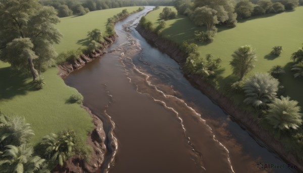 A landscape showcased in a vivid day