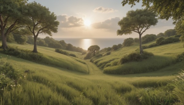 A charming sunset day featuring a landscape