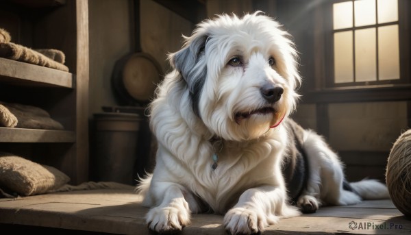 A dog set against the backdrop of a serene sunlight