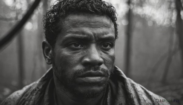 solo,short hair,1boy,closed mouth,monochrome,upper body,greyscale,male focus,dark skin,blurry,blurry background,facial hair,dark-skinned male,portrait,beard,realistic,depth of field,close-up,mustache,manly