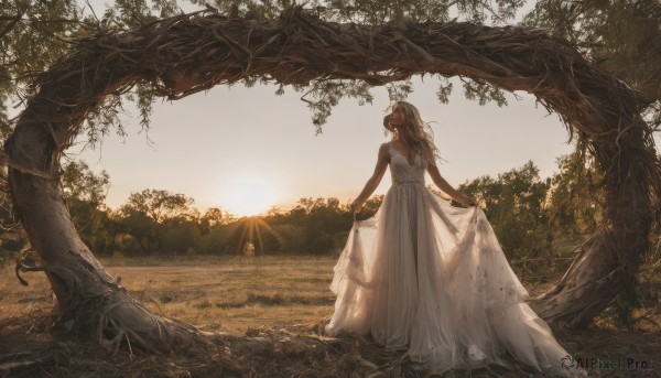 1girl,solo,long hair,brown hair,dress,bare shoulders,standing,outdoors,sky,sleeveless,from behind,white dress,tree,sleeveless dress,sunlight,plant,nature,scenery,forest,backlighting,sunset,wedding dress,skirt hold,long dress,sun,facing away,vines,bare arms,leaf,grass