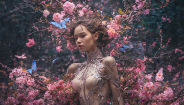 A butterfly in the heart of a beautiful cherry blossoms