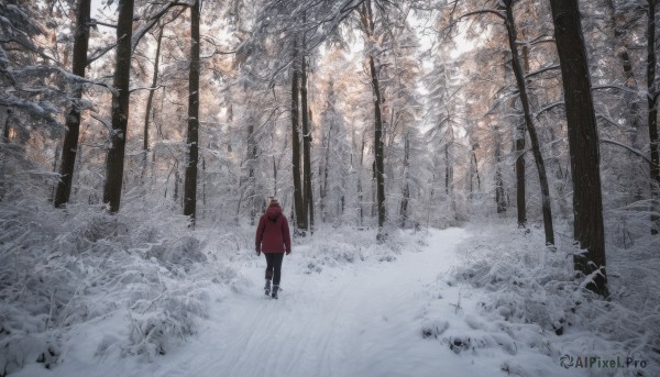 solo, 1boy, standing, male focus, boots, outdoors, from behind, tree, coat, nature, scenery, snow, forest, winter, red coat