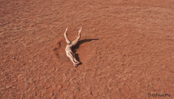 solo,1boy,nude,outdoors,wings,no humans,shadow,animal,scenery,brown theme,1girl,monochrome,male focus,lying,barefoot,on back,completely nude,blood,from above,orange theme