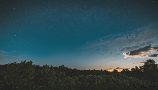 outdoors,sky,cloud,tree,no humans,night,grass,star (sky),nature,night sky,scenery,forest,starry sky,sunset,gradient sky,blue sky,cloudy sky,evening,sunrise