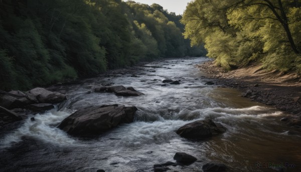 outdoors,sky,day,water,tree,no humans,nature,scenery,forest,rock,river,landscape,stream,waves,shore