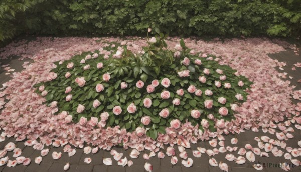 A breathtaking day featuring a garden