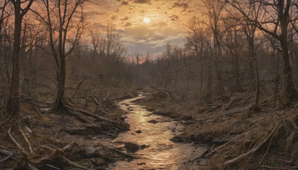 The beauty of a landscape set in a enchanting sunset outdoors
