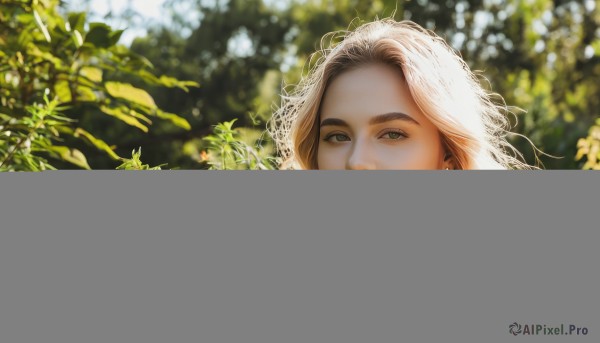 1girl,solo,long hair,looking at viewer,smile,blonde hair,shirt,jewelry,closed mouth,green eyes,white shirt,upper body,earrings,outdoors,day,collared shirt,blurry,lips,depth of field,blurry background,leaf,sunlight,plant,portrait,freckles,realistic,nose,brown hair,brown eyes,eyelashes,thick eyebrows,nature,stud earrings