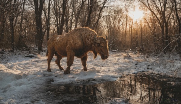 A unique subject portrayed in a inviting snowy day