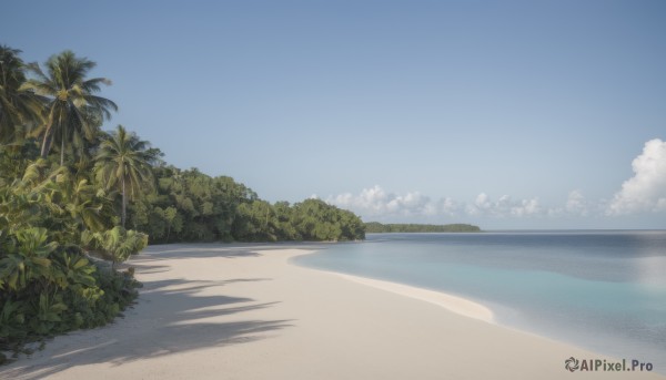 outdoors,sky,day,cloud,water,tree,blue sky,no humans,shadow,ocean,beach,plant,nature,scenery,sand,palm tree,horizon,bush,summer,forest,shore