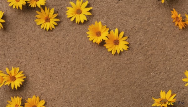 flower,outdoors,no humans,shadow,from above,scenery,yellow flower,sunflower,field,still life,comic,lying,brown theme