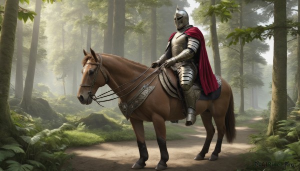 solo,1boy,weapon,male focus,boots,outdoors,day,cape,armor,tree,animal,sunlight,helmet,grass,plant,shoulder armor,gauntlets,nature,scenery,1other,forest,breastplate,red cape,armored boots,riding,greaves,horse,knight,full armor,ambiguous gender,path,horseback riding,helm,plate armor,reins,saddle,holding,sword,holding weapon,fantasy,bush