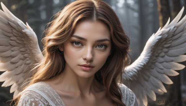 1girl,solo,long hair,looking at viewer,blonde hair,brown hair,brown eyes,closed mouth,collarbone,wings,white dress,blurry,lips,eyelashes,depth of field,blurry background,wavy hair,portrait,feathered wings,angel wings,realistic,nose,white wings,angel,upper body