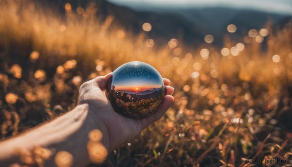 The timeless beauty of a unique subject in a tranquil dynamic scene