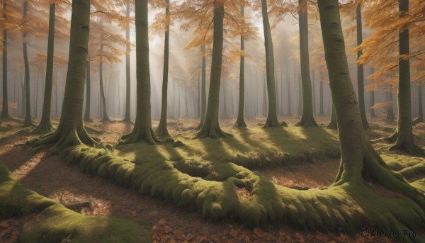 A serene day featuring a landscape