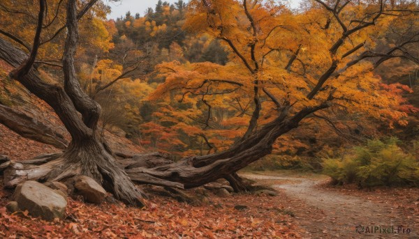 outdoors,day,tree,no humans,leaf,traditional media,grass,nature,scenery,forest,rock,road,autumn leaves,maple leaf,bare tree,autumn,path,sky,landscape