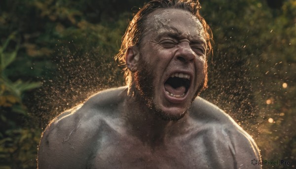 solo,short hair,open mouth,brown hair,1boy,closed eyes,upper body,male focus,outdoors,teeth,blurry,wet,blurry background,facial hair,portrait,nature,facing viewer,beard,realistic,mustache,manly,wrinkled skin,collarbone,tongue,muscular,veins,meme,shouting,screaming