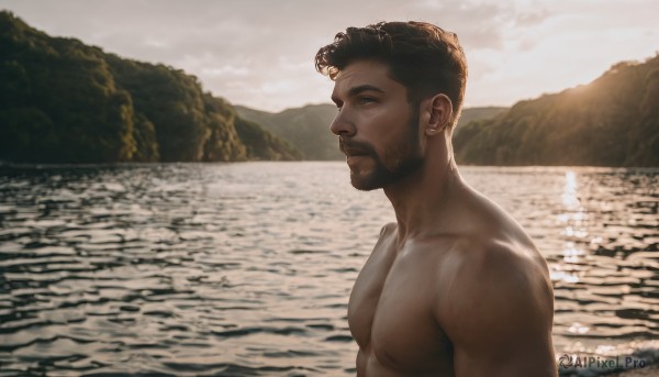 solo,short hair,brown hair,black hair,1boy,jewelry,closed mouth,upper body,male focus,nude,earrings,outdoors,sky,cloud,dark skin,water,from side,profile,muscular,facial hair,ocean,dark-skinned male,pectorals,muscular male,bara,beard,topless male,mature male,realistic,mustache,stud earrings,manly,chest hair,river,very dark skin,lake,nipples,beach,thick eyebrows,large pectorals,undercut