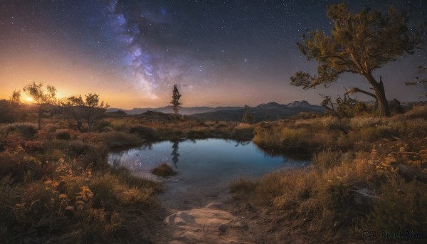 outdoors, sky, water, tree, no humans, night, grass, star (sky), nature, night sky, scenery, starry sky, reflection, sunset, mountain, river, landscape