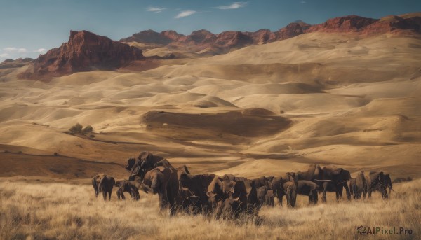 outdoors,sky,day,cloud,blue sky,no humans,animal,grass,scenery,mountain,sand,riding,field,horse,landscape,desert,monochrome,dog,rock,sepia