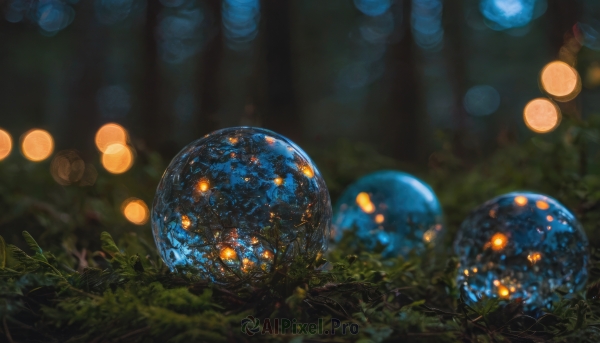 outdoors, blurry, tree, no humans, night, depth of field, blurry background, plant, nature, scenery, forest, bokeh