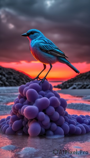 solo,outdoors,food,sky,cloud,water,blurry,no humans,fruit,depth of field,bird,animal,cloudy sky,scenery,reflection,flying,sunset,mountain,animal focus,grapes,blurry background,ripples,twilight,puddle,blueberry