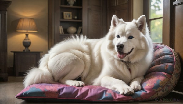 HQ,looking at viewer,blue eyes,lying,tongue,indoors,tongue out,cup,pillow,no humans,window,animal,table,dog,realistic,lamp,animal focus,white fur,picture frame,painting (object),carpet,rug,signature,blurry,collar,on side,on stomach,box,animal collar