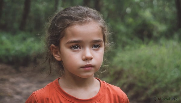 1girl,solo,looking at viewer,short hair,brown hair,shirt,black hair,brown eyes,closed mouth,upper body,grey hair,outdoors,day,blurry,black eyes,lips,grey eyes,depth of field,blurry background,expressionless,messy hair,red shirt,child,portrait,nature,freckles,realistic,female child,t-shirt,forehead