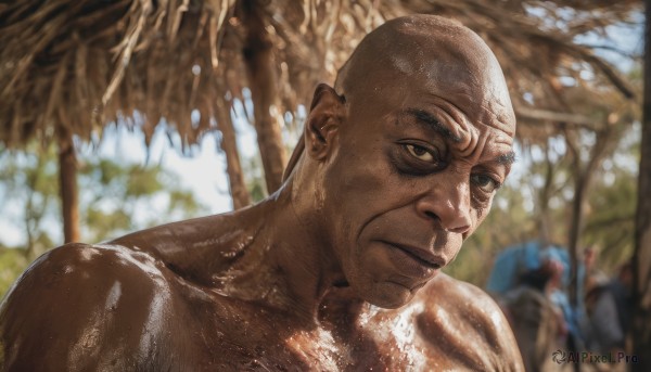 solo,looking at viewer,1boy,brown eyes,closed mouth,upper body,male focus,outdoors,multiple boys,solo focus,day,dark skin,blurry,tree,lips,muscular,depth of field,blurry background,dark-skinned male,portrait,realistic,bald,manly,collarbone,nude,shiny,shiny skin,topless male