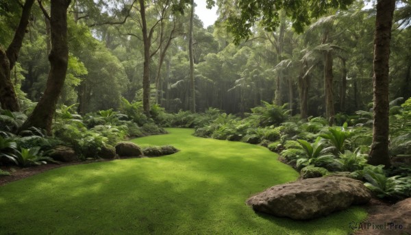 A graceful landscape captured in day