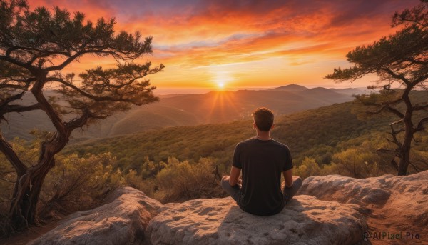 solo, shirt, black hair, 1boy, sitting, male focus, outdoors, sky, pants, cloud, from behind, tree, black shirt, nature, scenery, sunset, mountain, sun, indian style