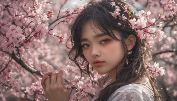 1girl, solo, long hair, looking at viewer, black hair, jewelry, closed mouth, upper body, flower, earrings, outdoors, hand up, blurry, black eyes, lips, depth of field, blurry background, thick eyebrows, cherry blossoms, portrait, realistic, nose, branch