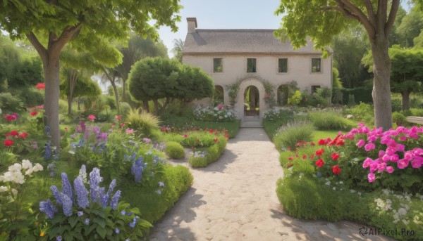 A garden captured in a enchanting day